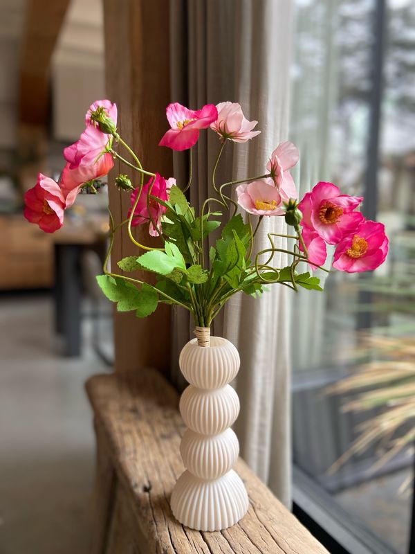 Vaasje Miguel M crème