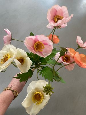 Poppy bundel 50 cm pink