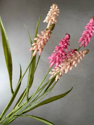 Bundel druifjes S2 mix pink