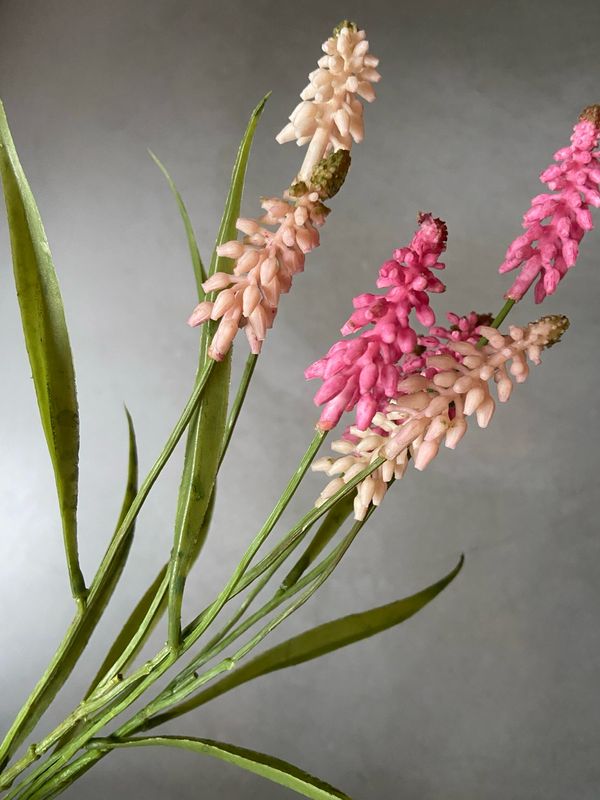 Bundel druifjes S2 mix pink