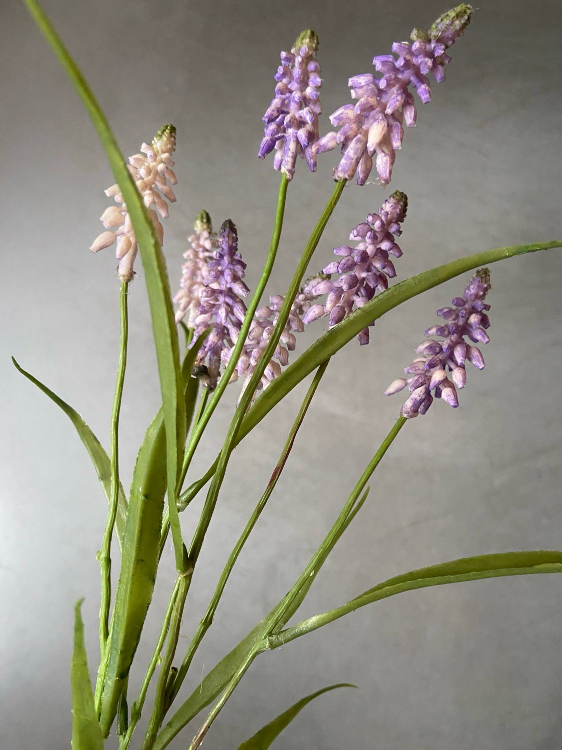 Bundel druifjes S2 licht paars