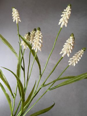 Bundel druifjes S2 wit