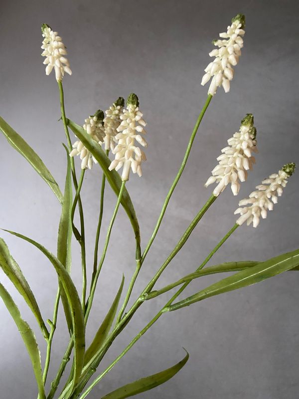 Bundel druifjes S2 wit