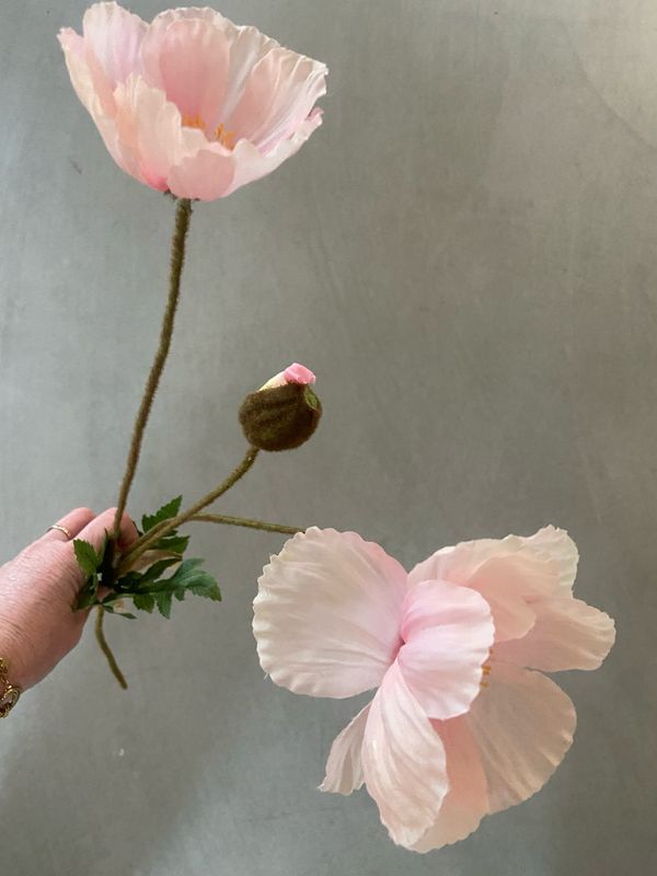 Papaver licht roze 75 cm