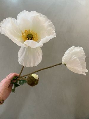 Papaver wit 75 cm