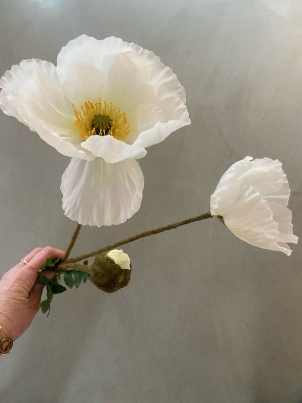 Papaver wit 75 cm