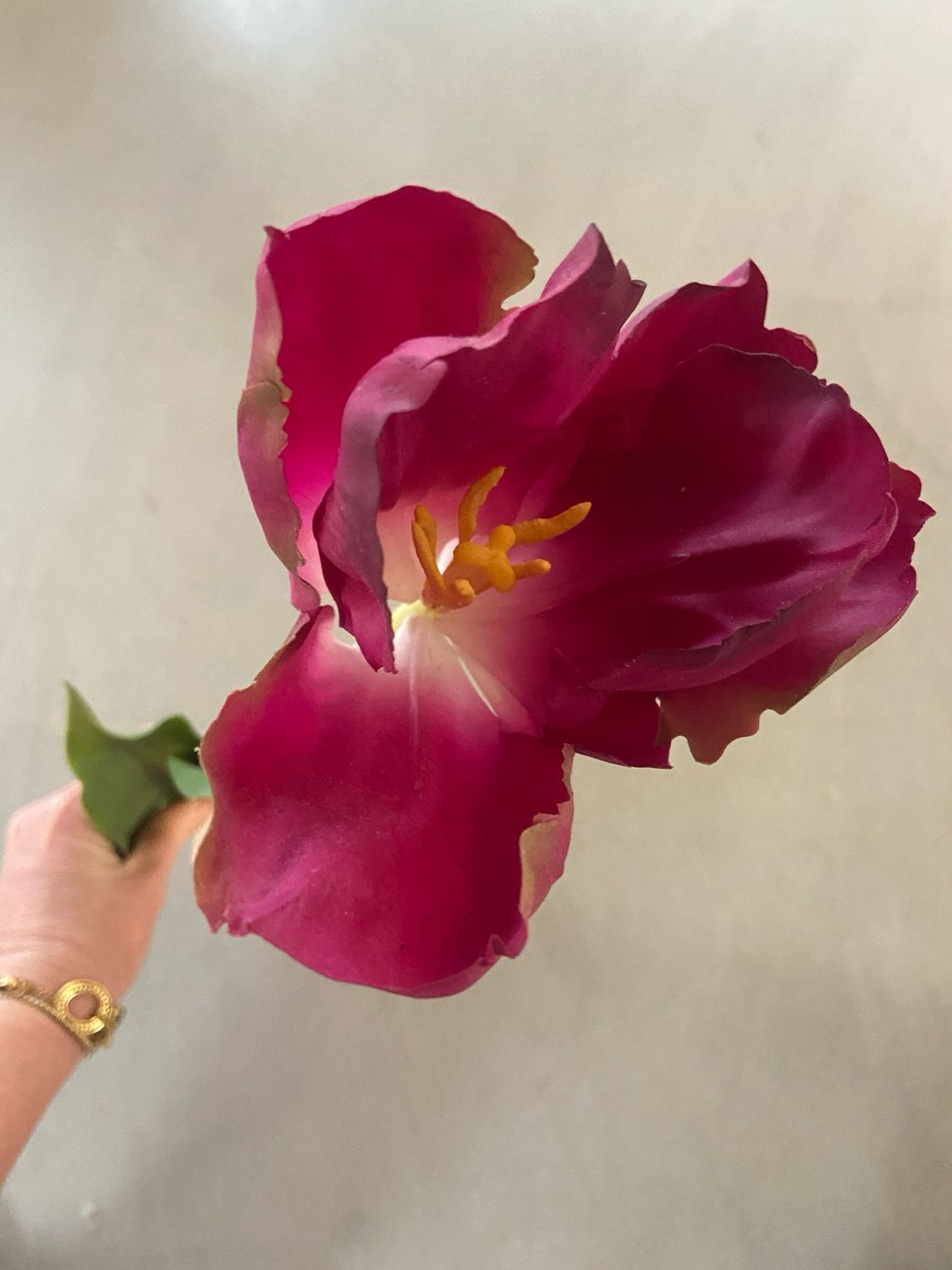 Franse tulp paars 68 cm