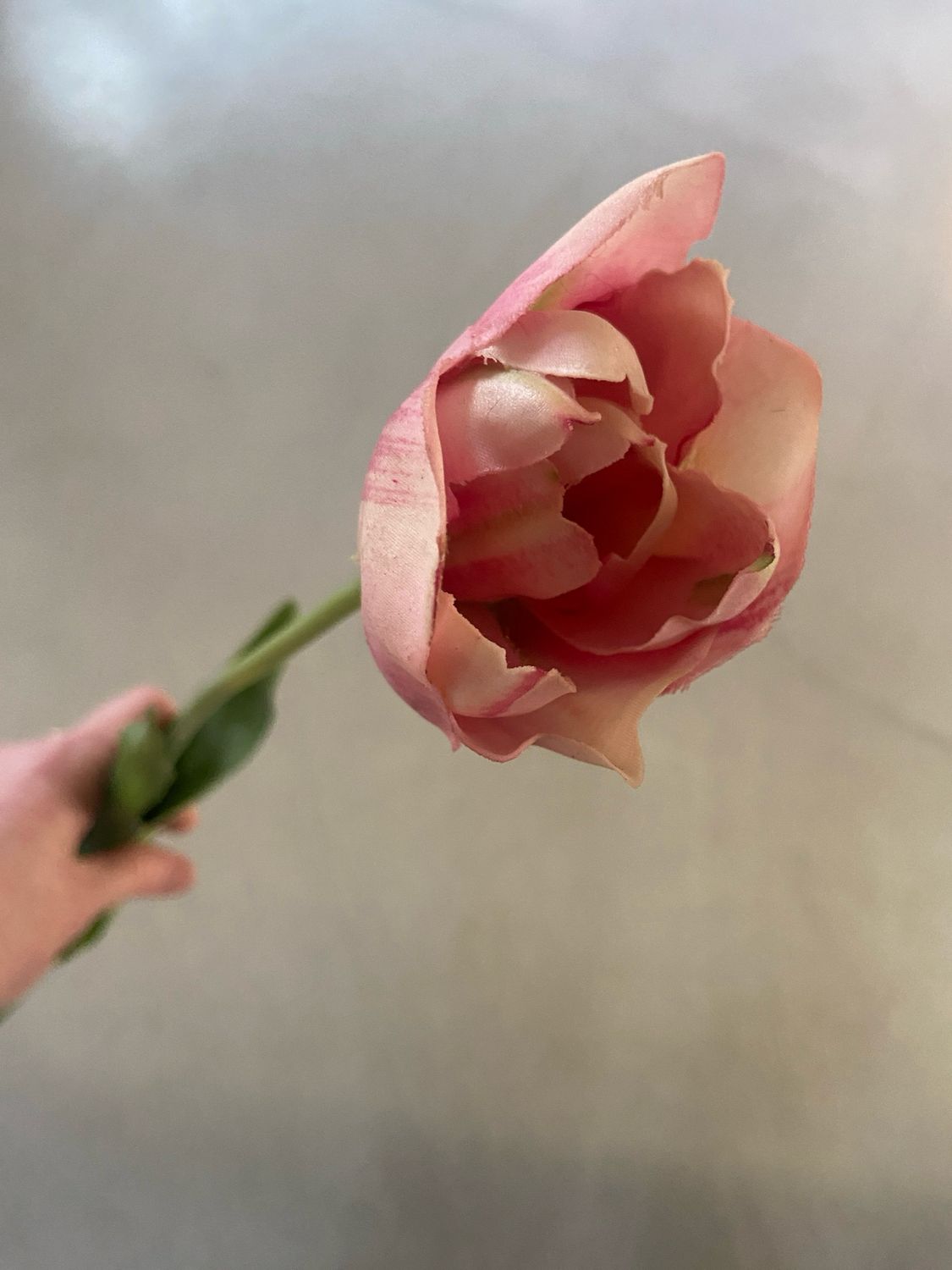 Tulp roze 74 cm