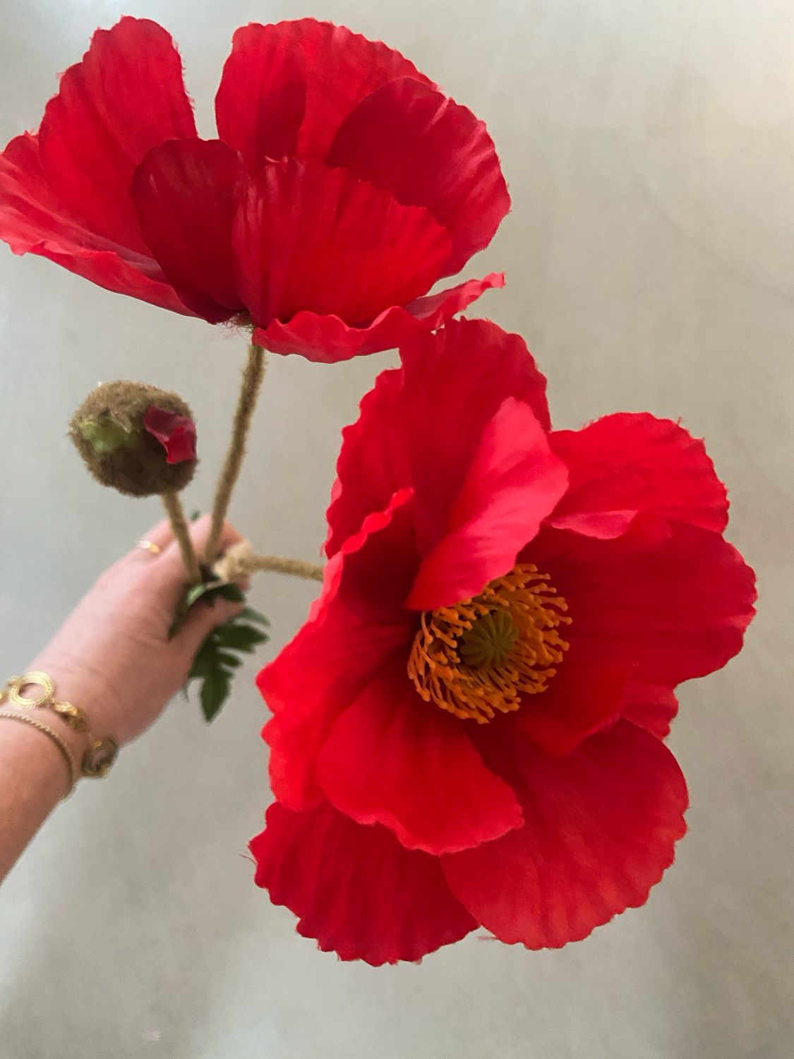 Papaver rood 75 cm