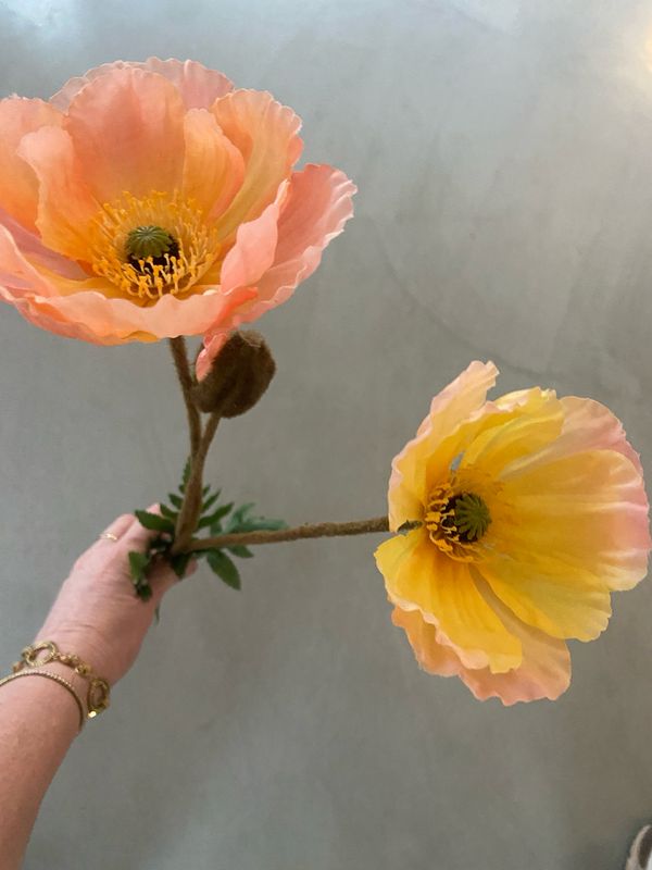 Papaver zalm/geel 75 cm