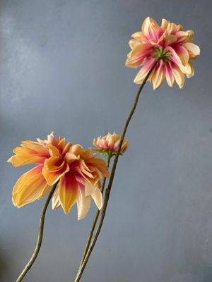 Zijden dahliatak 83 cm - geel/roze