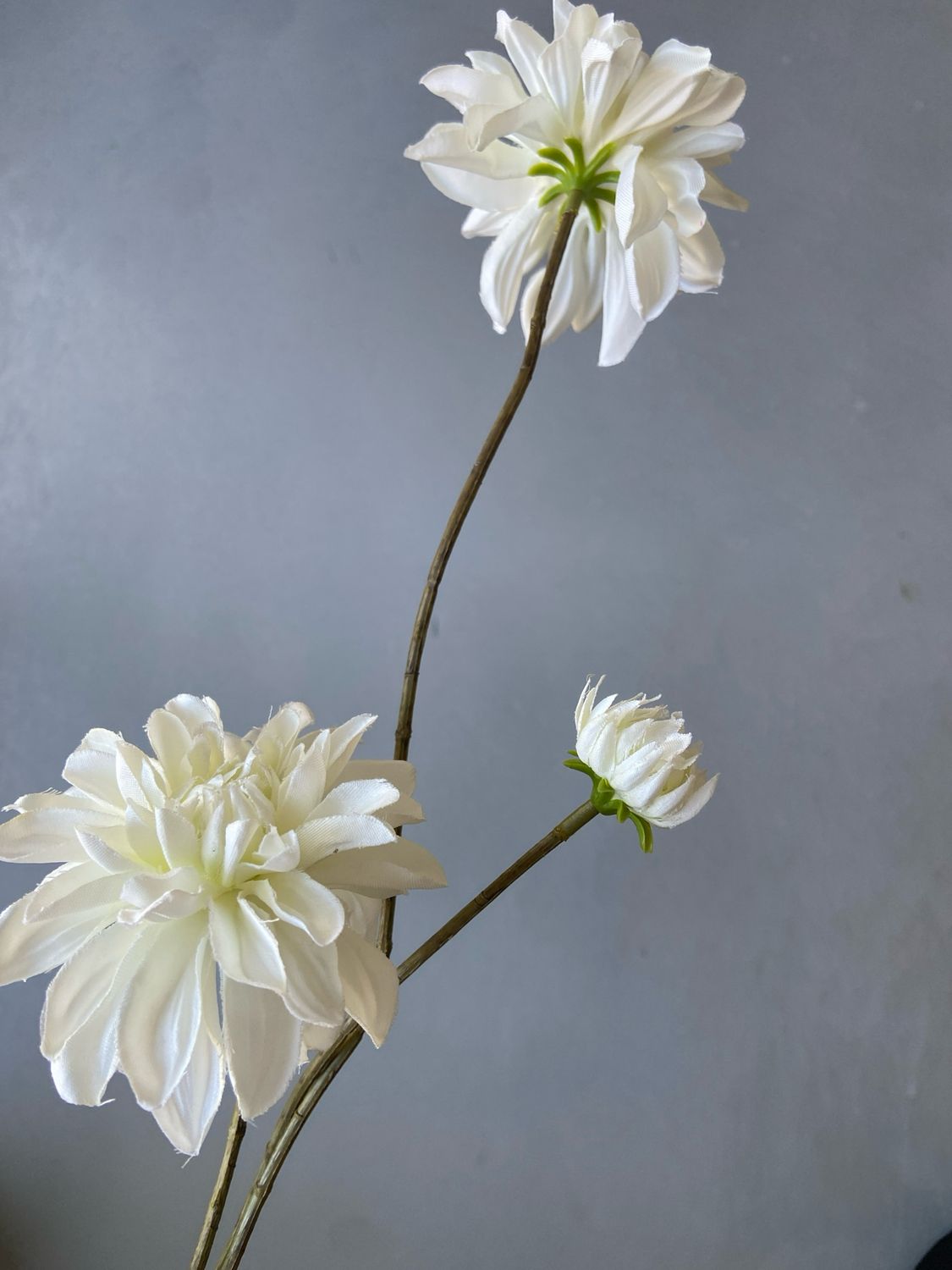 Zijden dahliatak 83 cm - wit