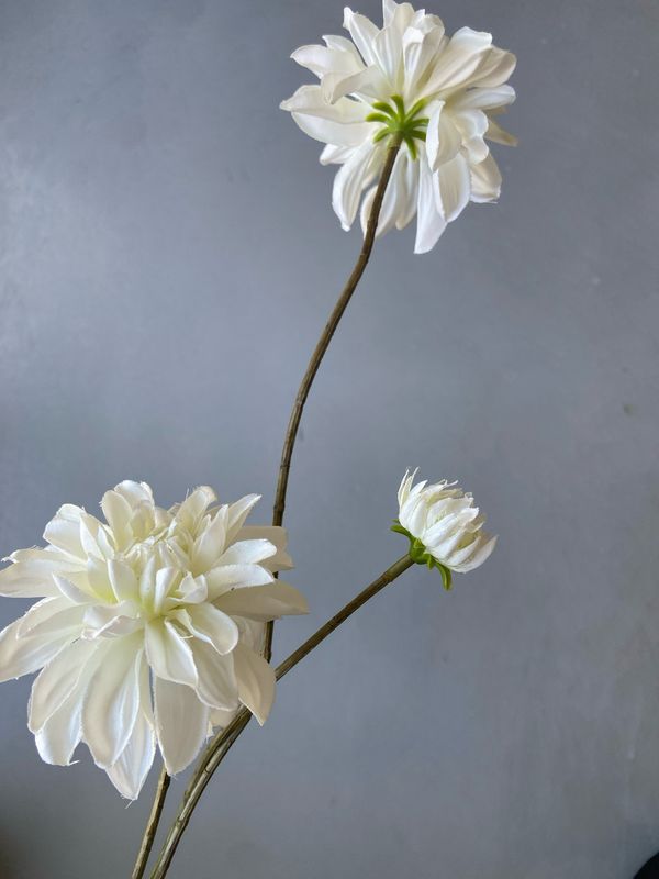 Zijden dahliatak 83 cm - wit