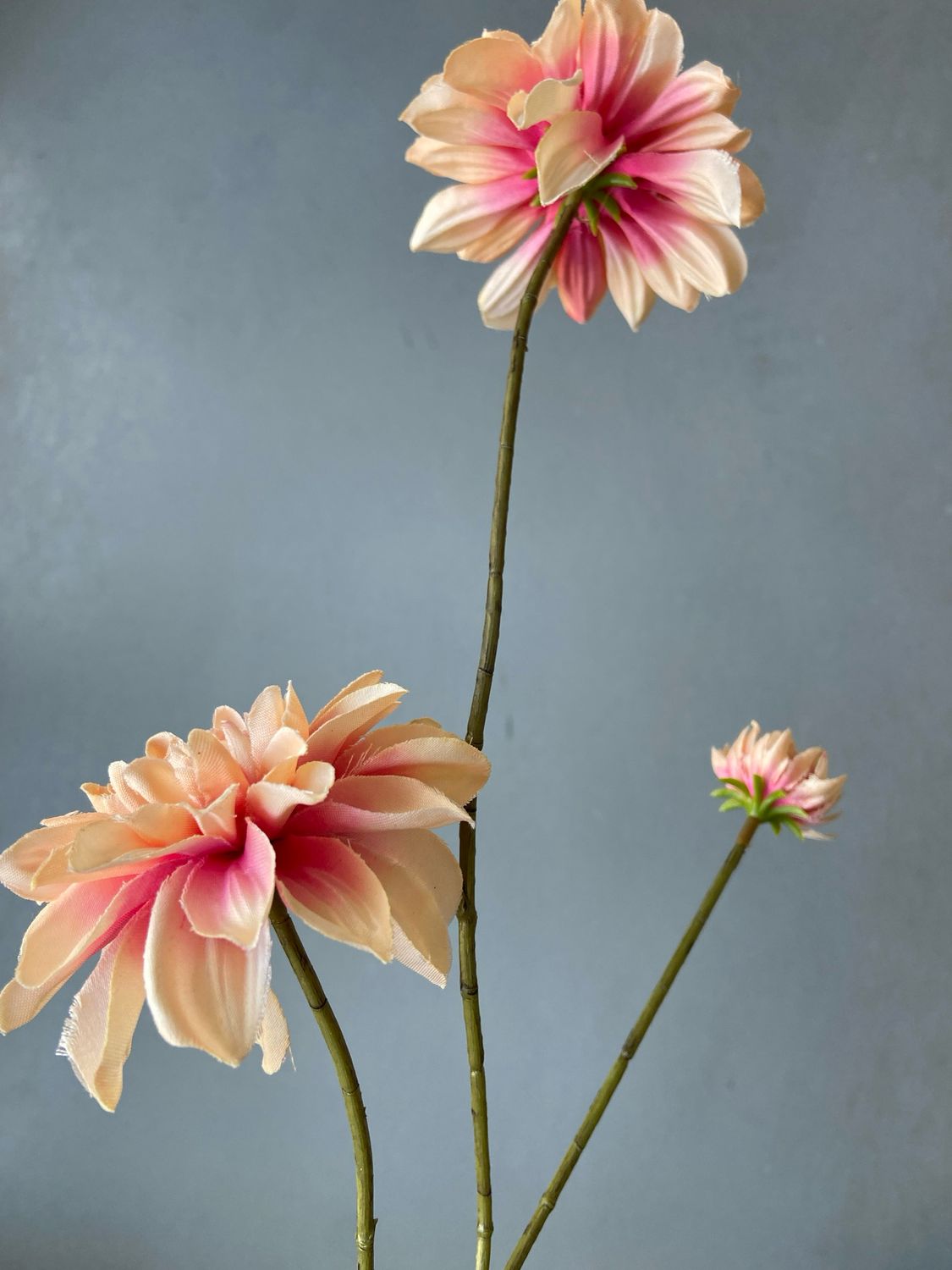 Zijden dahliatak 83 cm - zalm