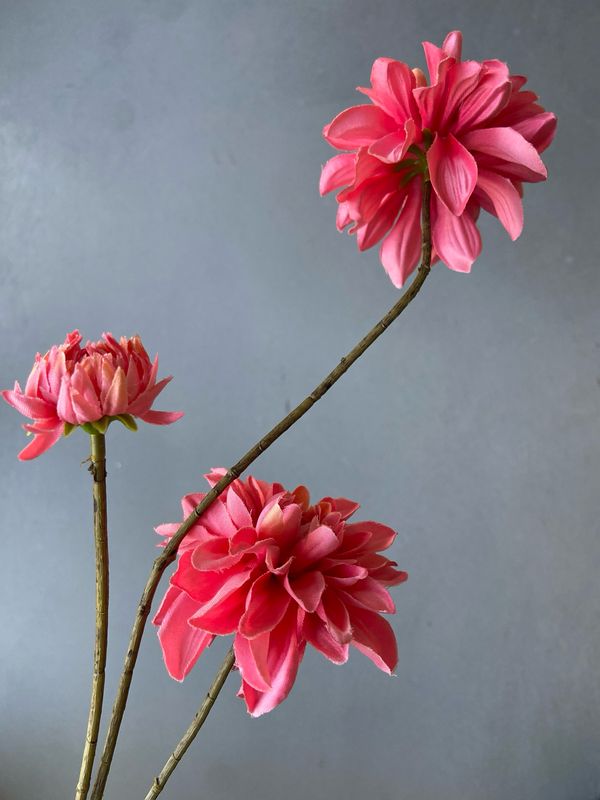 Zijden dahliatak 83 cm - roze