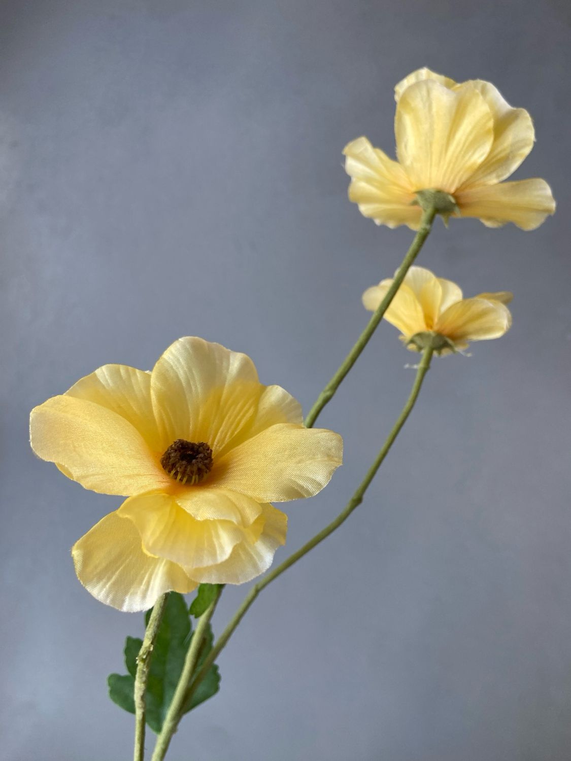 Ranuncle spray 61 cm geel