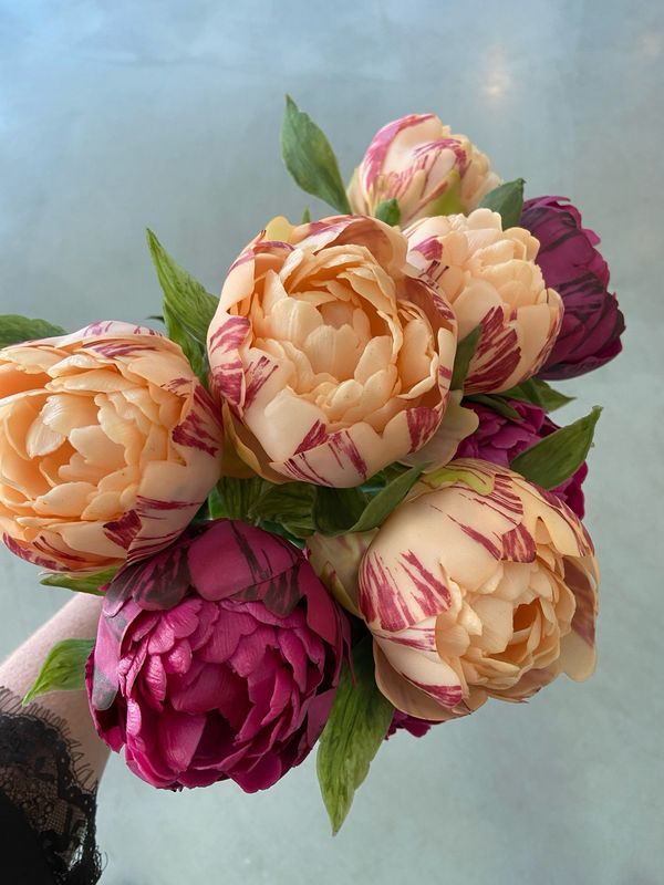 Pioenroos Peach 63 cm