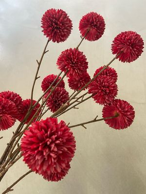 Pom pom cerise