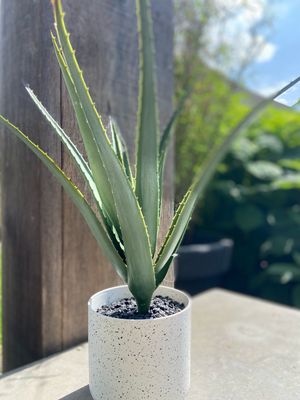 Kunstplant Aloe Vera 45 cm