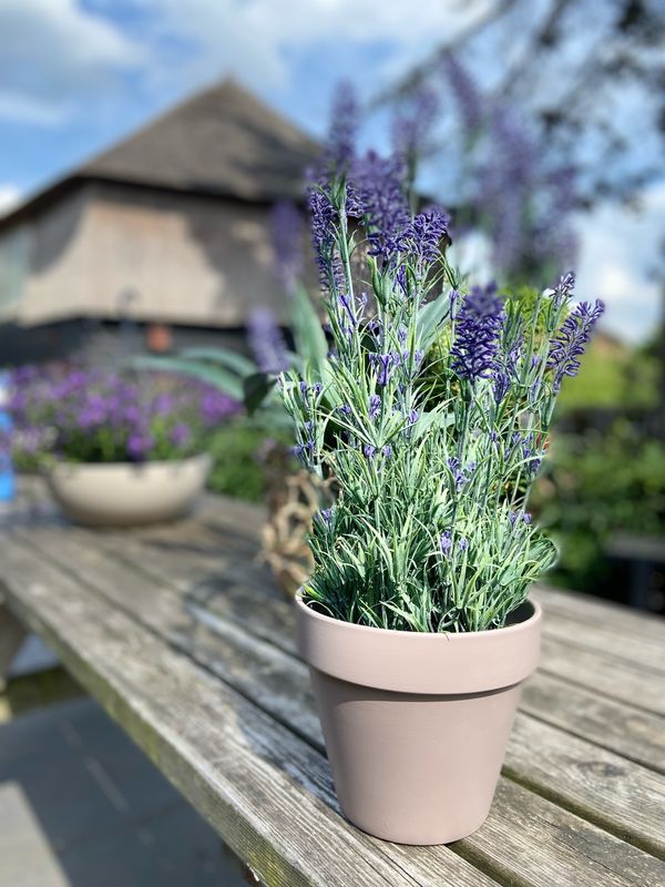 Zijden lavendel paars in pot