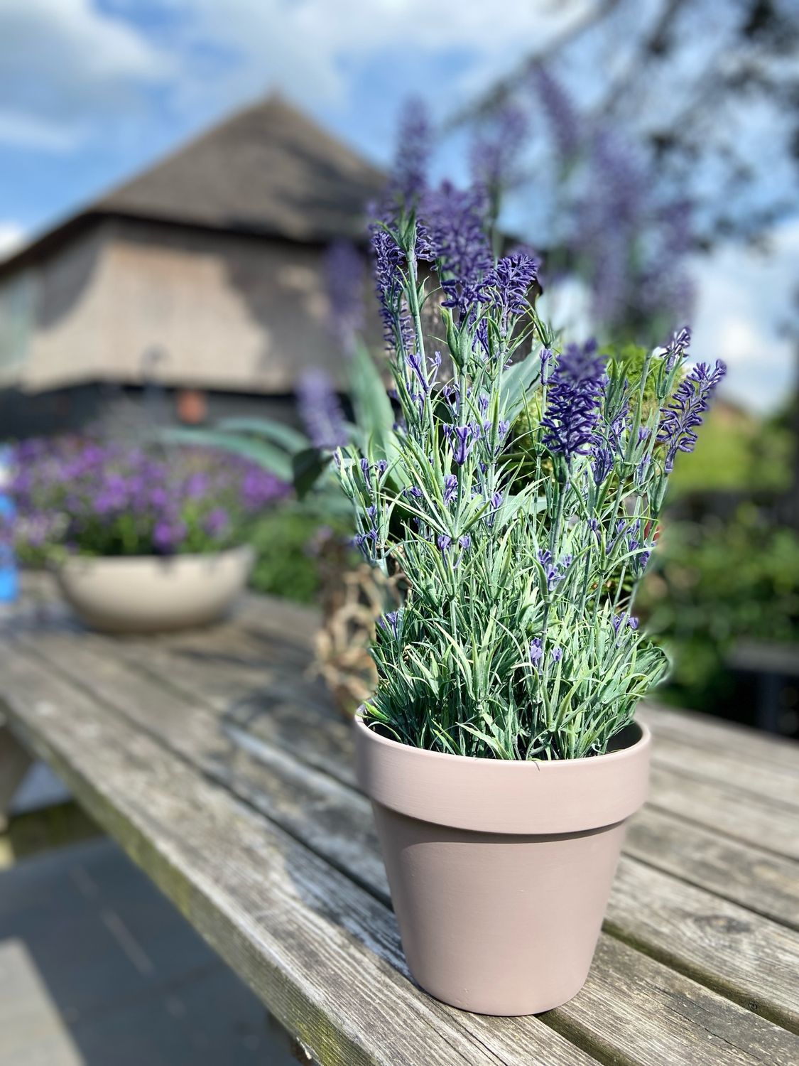Zijden lavendel paars in pot