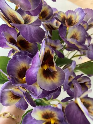 Viooltjes paars