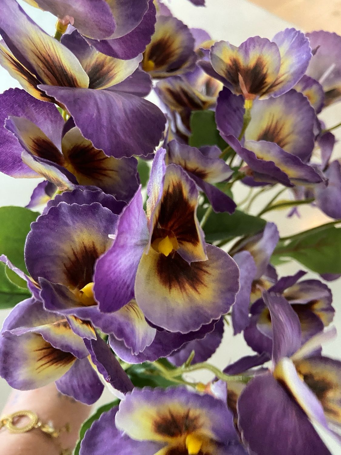 Viooltjes paars