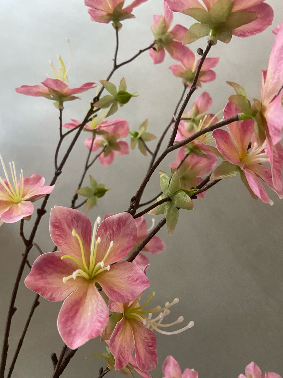 Bloesemtak roze