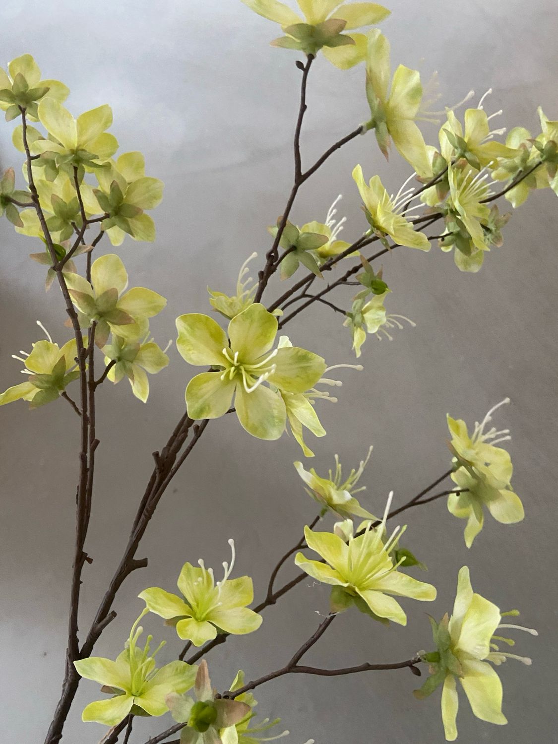 Bloesemtak groen 115 cm