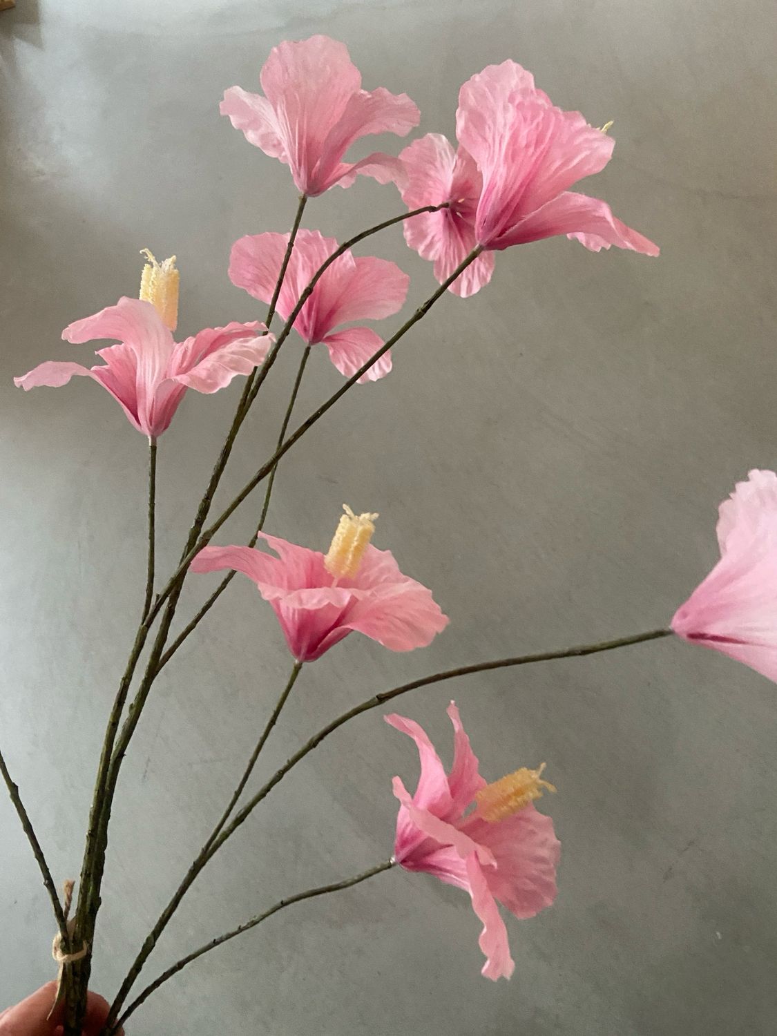 Papaver roze 130 cm