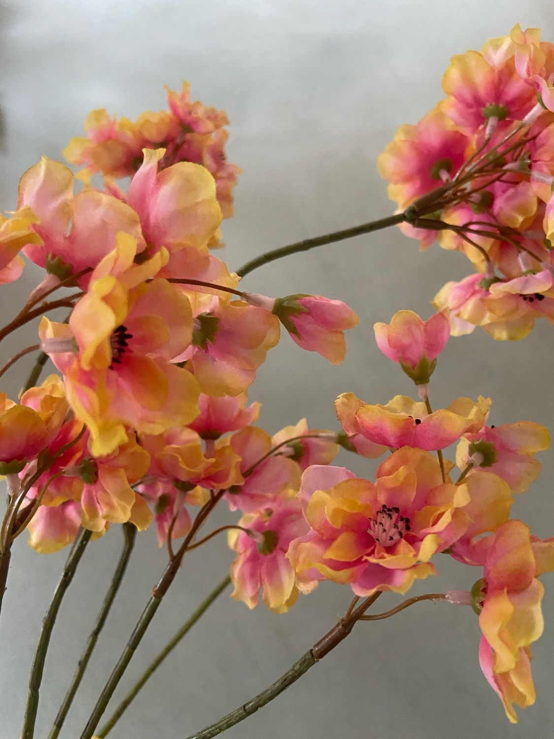 Kersenbloesem oranje/ roze