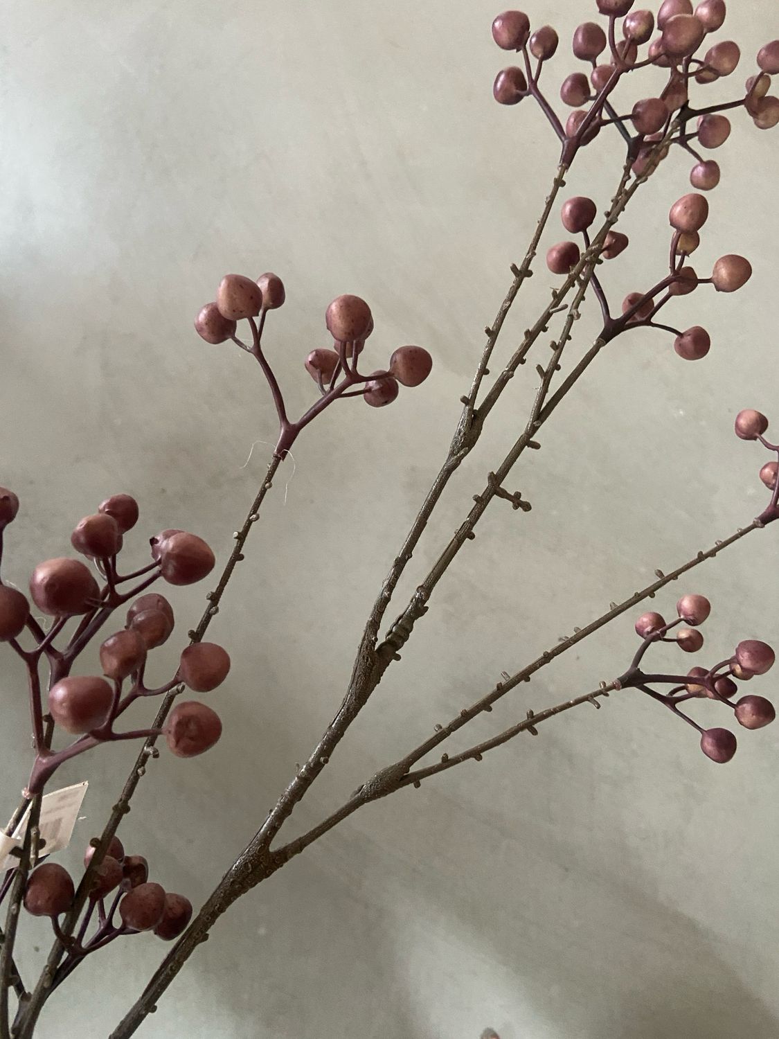 Bean spray 111 cm