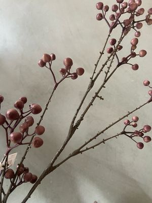 Bean spray 111 cm