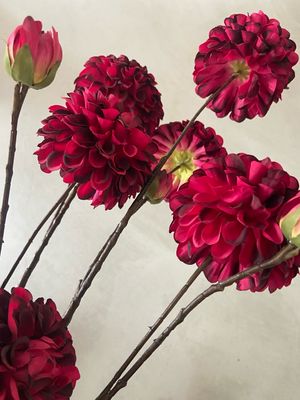 Dahlia donker roze 100 cm