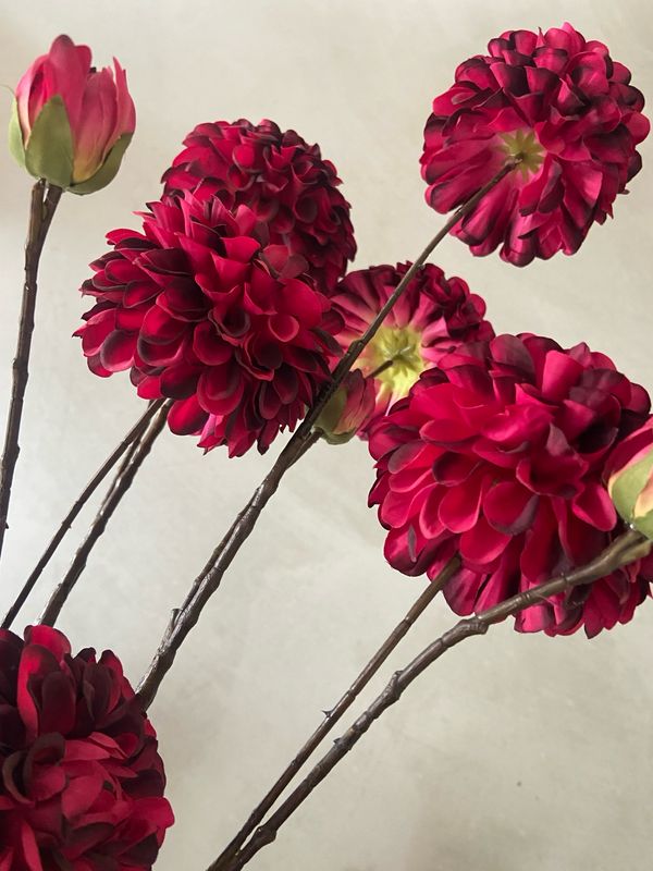Dahlia donker roze 100 cm