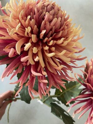 Chrysant XL pink mix 91 cm