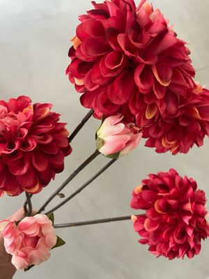 Dahlia roze 78 cm