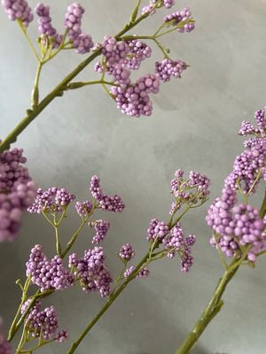 Berry lila 110 cm