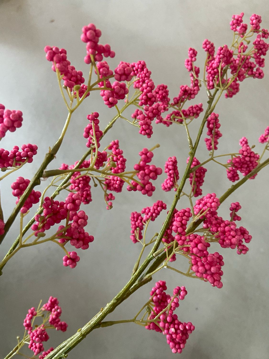 Berry fuchsia 110 cm