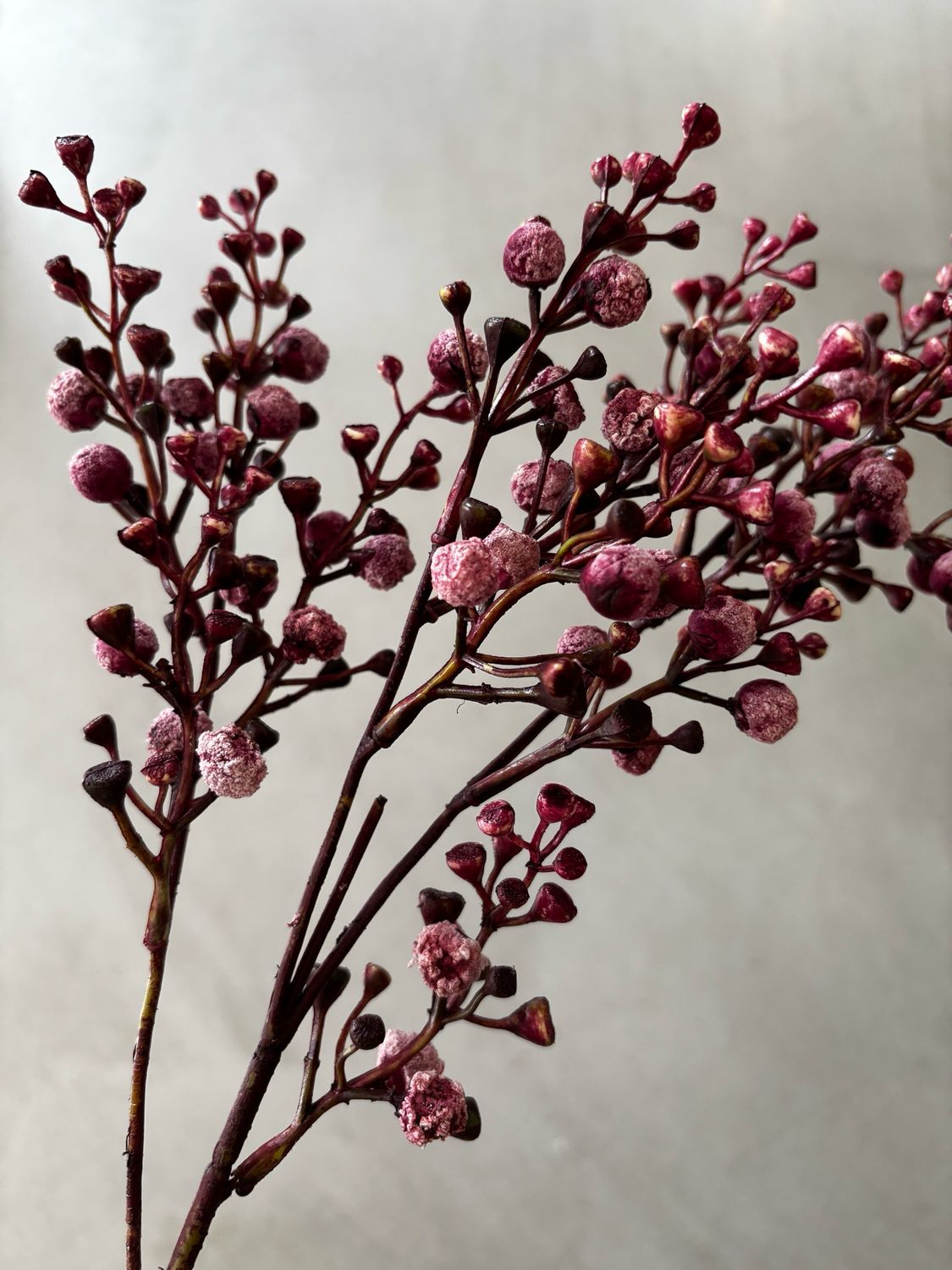 Bessentak burgundy 72 cm