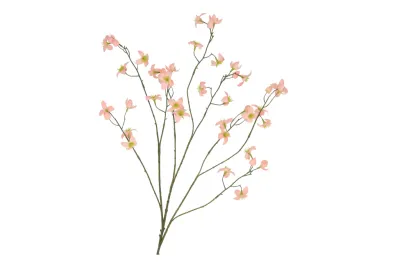 Zijden boterbloem tak peach– 100 cm