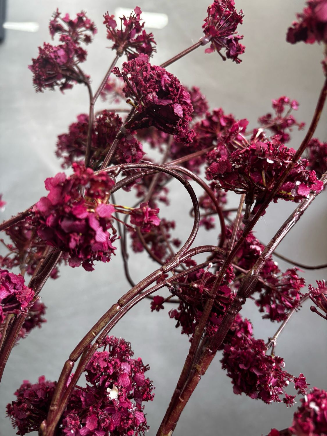 Verbena spray 100 cm