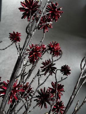 Camptotheca red 102 cm