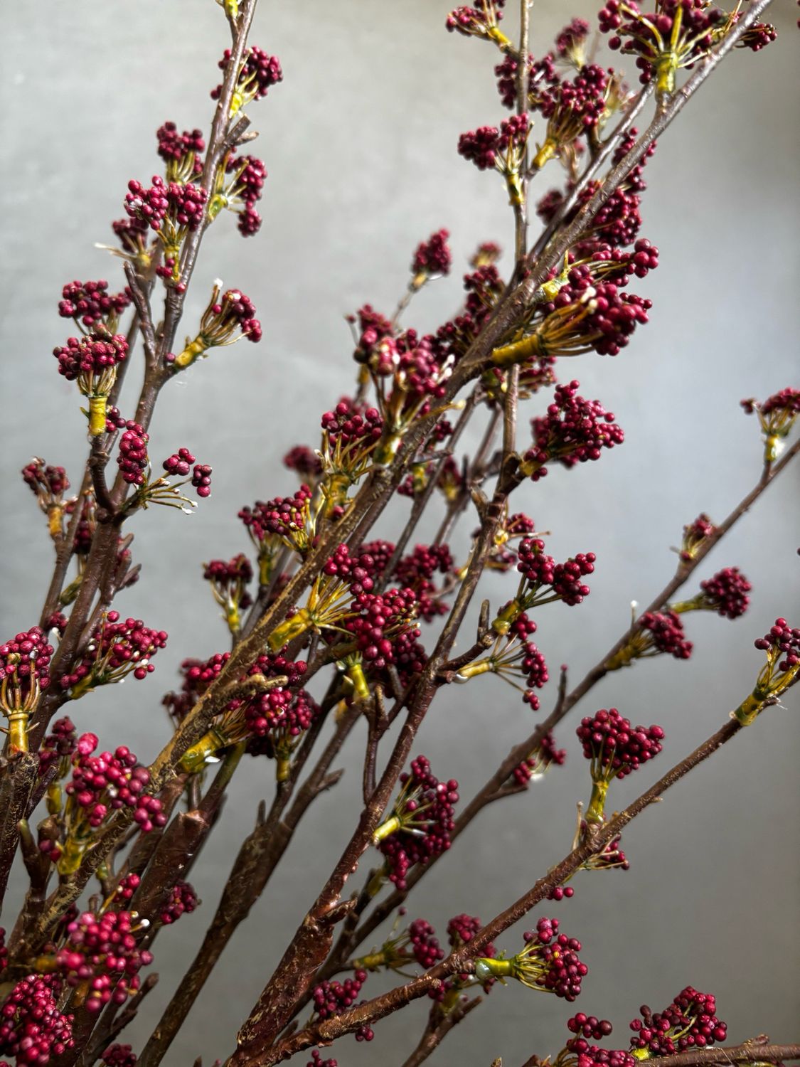 Callicarpa spray 105 cm