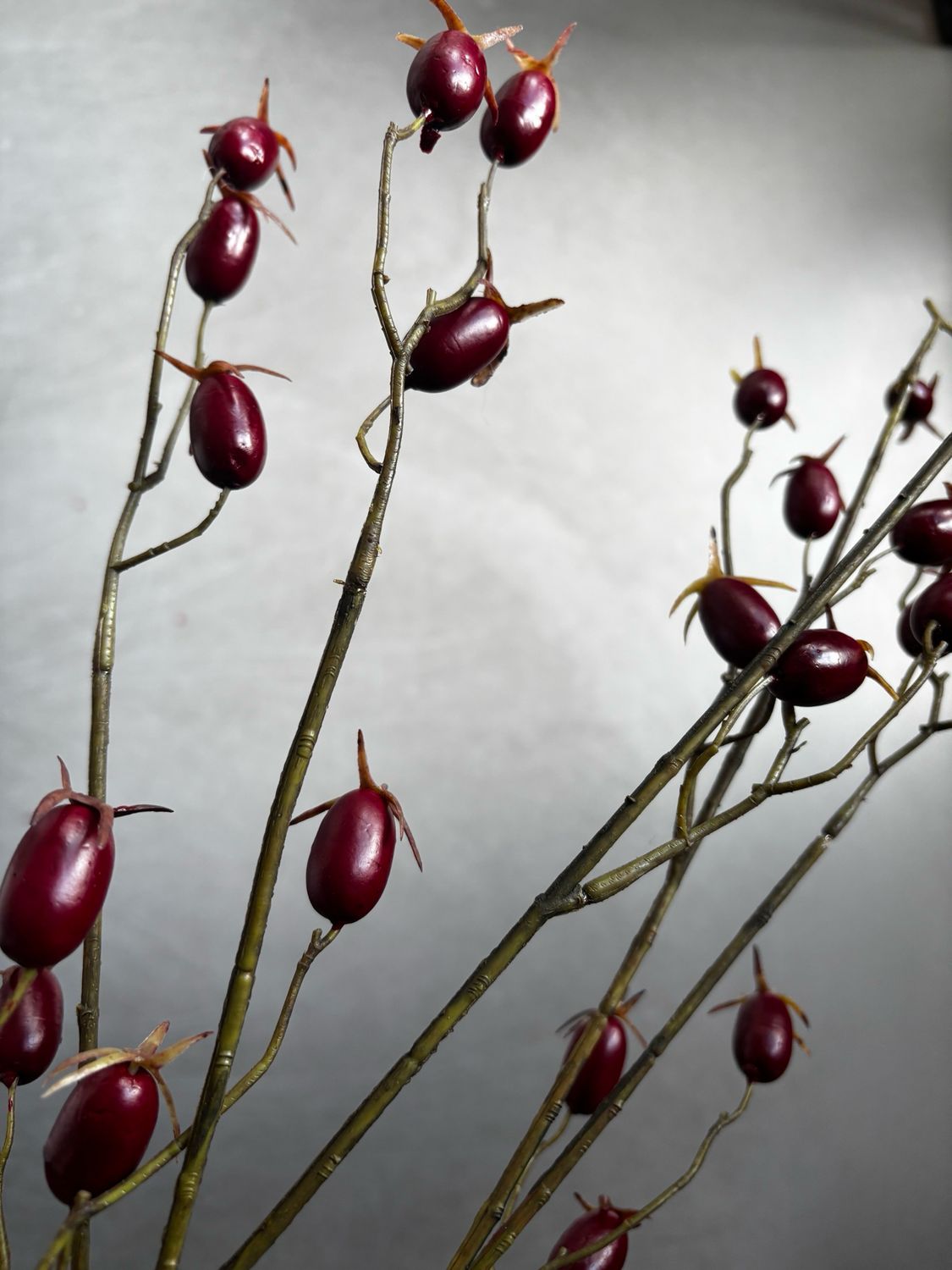 Rozenbottel Bordeaux 90 cm