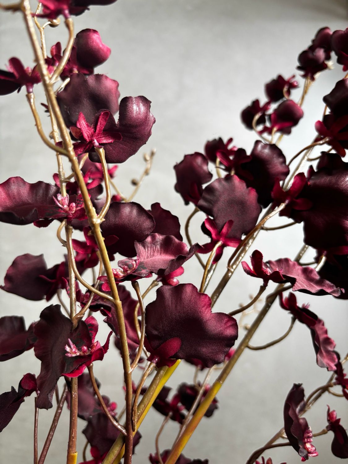 Orchidee dancing 114 cm