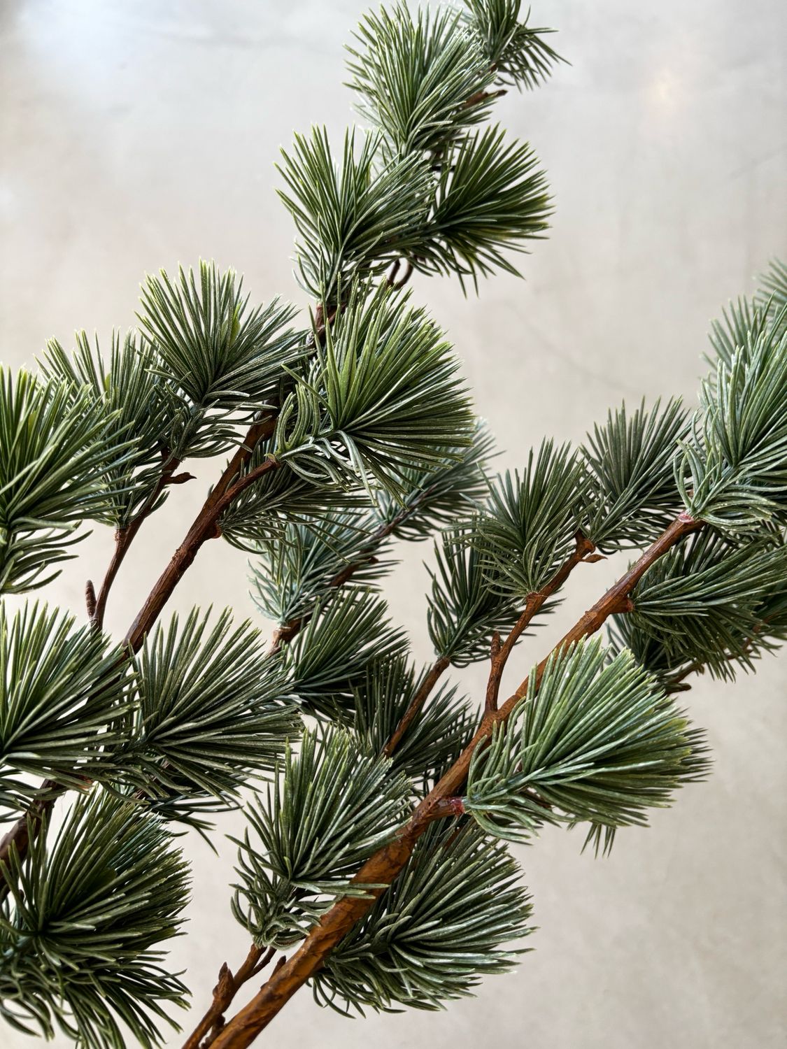 Larix takken