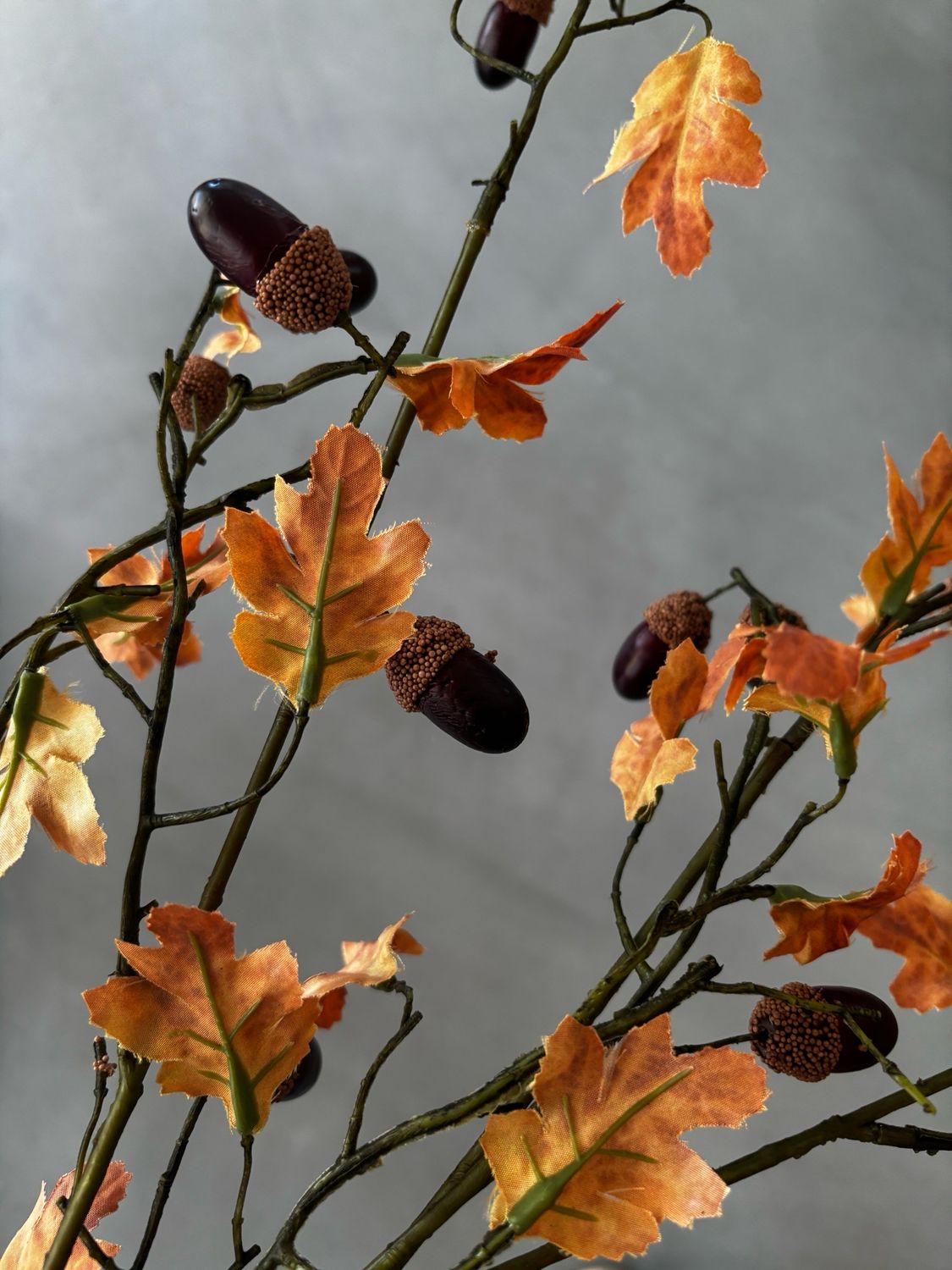Eikel herfsttak 90 cm
