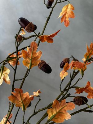 Eikel herfsttak 130 cm
