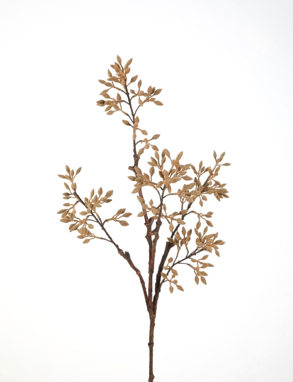 Wutong fruit spray 89 cm